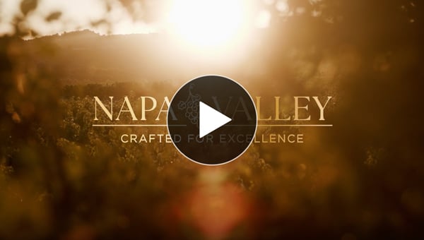 Splash screen for hype video for Napa Valley trip, showcasing the landscapes and activities availalbe