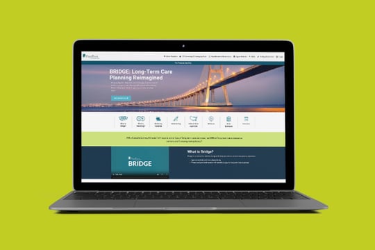 bridge-microsite-greenbg2