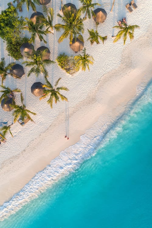 Beach with the ocean image